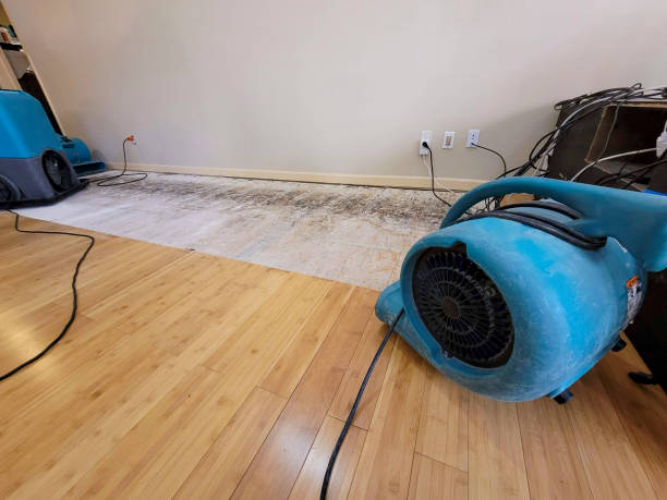Professional Water Removal technician working in Marshall, MO